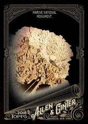 2018 Topps Allen & Ginter X Base Set Marine National Monument #84 card