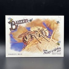 2024 Topps Allen & Ginter Buzzin’ Mason Bee #BUZ-10 card