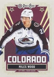 2025-26 O-Pee-Chee Base Retro Miles Wood #461 card