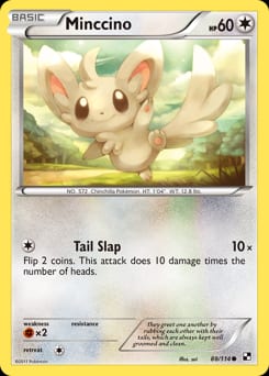 Black & White Minccino #88 card