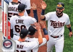 2020 Topps Base Set Minnesota Twins #213 card