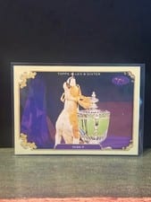 2024 Topps Allen & Ginter Stars of the Show The Westminster Kennel Club Miss P #SOS-18 card