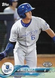 2018 Topps Pro Debut Base Set MJ Melendez #169 card