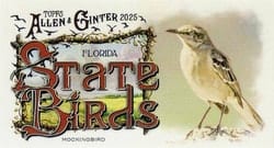 2025 Topps Allen & Ginter State Birds (Minis) Mockingbird - Florida #SB-9 card
