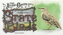 2025 Topps Allen & Ginter State Birds (Minis) Mockingbird - Tennessee #SB-42 card