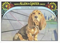 2022 Topps Allen & Ginter It's Your Special Day National Dog Day #IYSD-6 card
