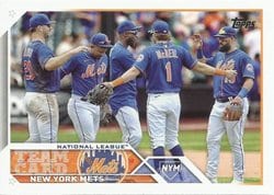 2023 Topps Base Set New York Mets #291 card