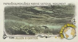 2023 Topps Allen & Ginter Mini World of Wonder Papahānaumokuākea Marine National Monument, U.S.A. #WOW-45 card