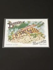 2024 Topps Allen & Ginter Buzzin’ Paper Wasp #BUZ-14 card