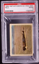 Pele 1964 Instantaneos DA Vida Do Rei Pele card
