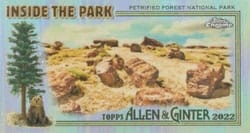 2022 Topps Allen & Ginter Chrome Inside the Park Minis Petrified Forest National Park #ITP-32 card
