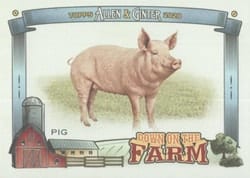 2020 Topps Allen & Ginter Down on the Farm Pig #DF-P card