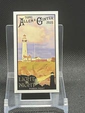 2025 Topps Allen & Ginter Light The Night (Minis) Pigeon Point #LTN-8 card