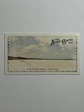 Pink Sands Beach 2025 Topps Allen & Ginter Beachin' It (Minis) card
