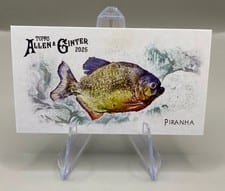 2025 Topps Allen & Ginter 50 Fish From Global Waters (Minis) Piranha #FGW-10 card