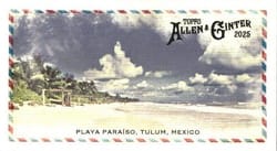 2025 Topps Allen & Ginter Beachin' It (Minis) Playa Paraíso #BI-14 card