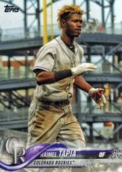 2018 Topps Base Set Raimel Tapia #313 card