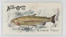 2025 Topps Allen & Ginter 50 Fish From Global Waters (Minis) Rainbow Trout #FGW-34 card