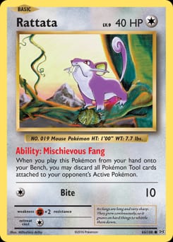 Evolutions Rattata #66 card