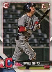 2018 Bowman Draft Base Set Raynel Delgado #BD-176 card