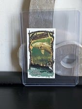 2024 Topps Allen & Ginter Swamp Creatures Mini Redfish #SC-20 card