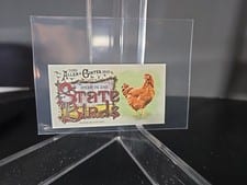 2025 Topps Allen & Ginter State Birds (Minis) Rhode Island Red - Rhode Island #SB-39 card