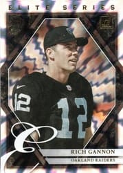 2021 Donruss Elite Series Rich Gannon #ES-RGA card