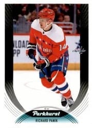 2020-21 Parkhurst Base Set Richard Panik #88 card