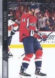 2020-21 Upper Deck Base Set Richard Panik #440 card