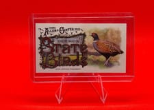 2025 Topps Allen & Ginter State Birds (Minis) Ring-Necked Pheasant - South Dakota #SB-41 card