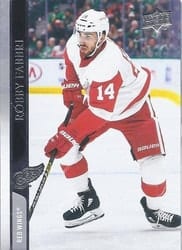 2020-21 Upper Deck Base Set Robby Fabbri #319 card