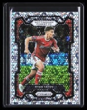 2023 Panini Prizm Premier League Ryan Yates #251 card