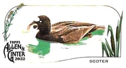 2022 Topps Allen & Ginter Mini Ducks Scoter #MD-7 card