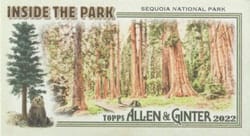 2022 Topps Allen & Ginter Mini Inside the Park Sequoia National Park #ITP-16 card