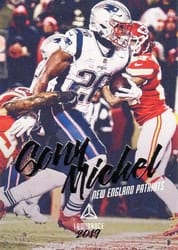 2019 Panini Luminance Base Set Sony Michel #6 card