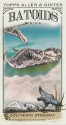 2024 Topps Allen & Ginter Mini Batoids Beneath Southern Stingray #RITW-7 card