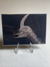 2024 Topps Allen & Ginter X-Ray’d Speke’s Gazelle #XR-20 card