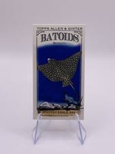 2024 Topps Allen & Ginter Mini Batoids Beneath Spotted Eagle Ray #RITW-6 card