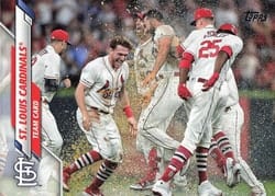2020 Topps Base Set St. Louis Cardinals #87 card