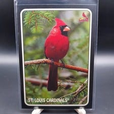 2024 Topps Heritage 1975 Topps Zoo's Who Stick-Ons St. Louis Cardinals #75Z-4 card