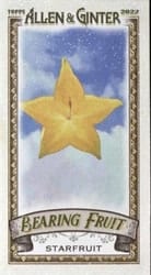 2022 Topps Allen & Ginter Mini Bearing Fruit Starfruit #BF-5 card