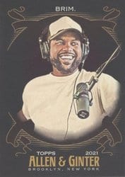 2021 Topps Allen & Ginter X Base Set Steelo Brim #267 card