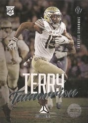 2021 Panini Luminance Base Set Tamorrion Terry #113 card
