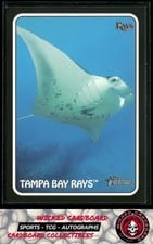 2024 Topps Heritage 1975 Topps Zoo's Who Stick-Ons Tampa Bay Rays #75Z-2 card