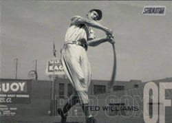 2018 Stadium Club Base Set Ted Williams #180 card