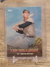 2023 Topps x Bob Ross: The Joy of Baseball Peaks of Power Ted Williams #PK-10 card