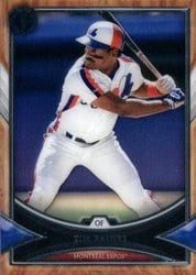 2018 Topps Tribute Base Set Tim Raines #36 card