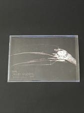 2024 Topps Allen & Ginter X-Ray’d Toco Toucan #XR-1 card