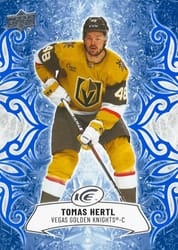 2024-25 Upper Deck Ice Base Set Tomas Hertl #47 card