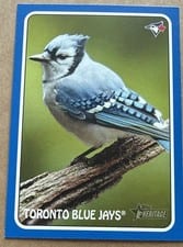 2024 Topps Heritage 1975 Topps Zoo's Who Stick-Ons Toronto Blue Jays #75Z-5 card